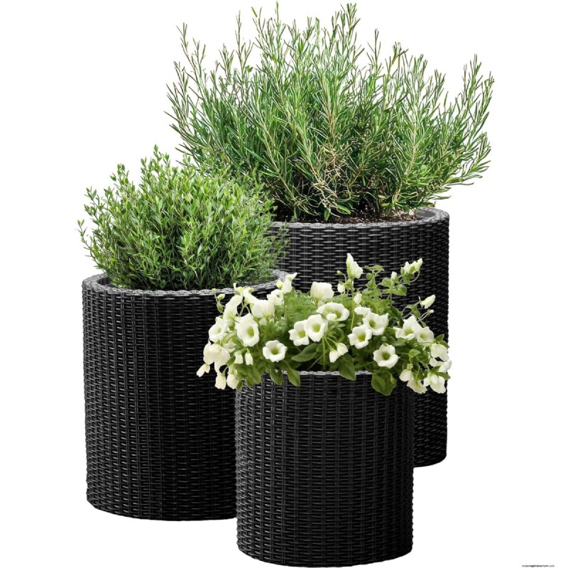 12 Expert‑Approved Amazon Prime Day Deals for Indoor Gardeners