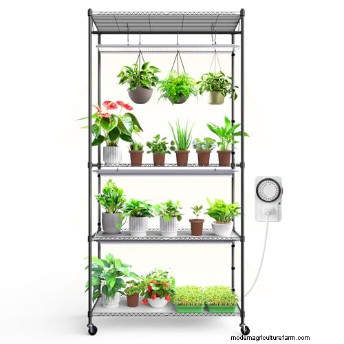 12 Expert‑Approved Amazon Prime Day Deals for Indoor Gardeners