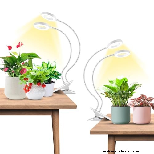 12 Expert‑Approved Amazon Prime Day Deals for Indoor Gardeners