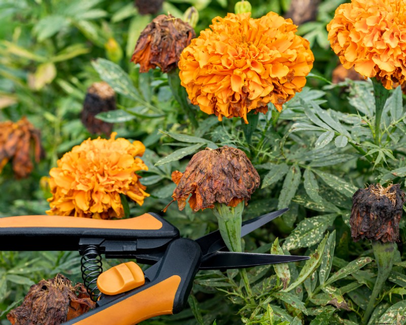 Top Time‑Saving Garden Tools to Cut Stress, Boost Efficiency, and Save Money