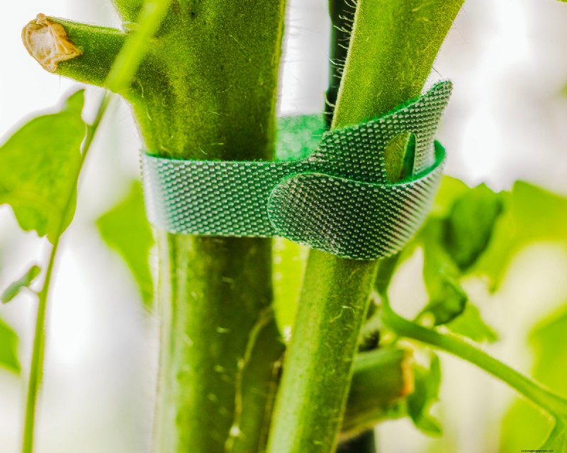 Top Time‑Saving Garden Tools to Cut Stress, Boost Efficiency, and Save Money