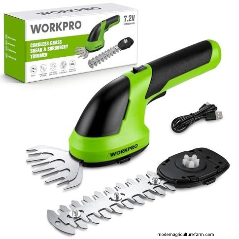 Top Time‑Saving Garden Tools to Cut Stress, Boost Efficiency, and Save Money