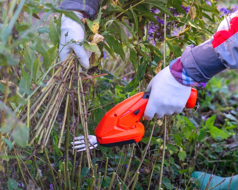 Top Time‑Saving Garden Tools to Cut Stress, Boost Efficiency, and Save Money