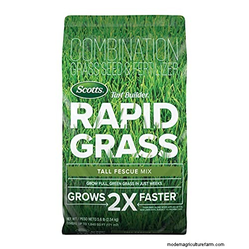 Prime Day Lawn Care Deals: Our Expert‑Recommended Products on Sale