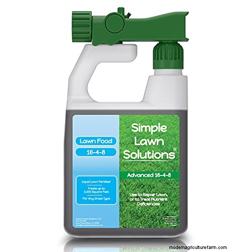 Prime Day Lawn Care Deals: Our Expert‑Recommended Products on Sale