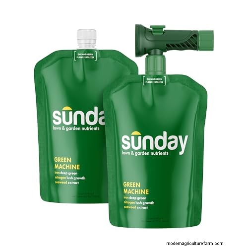 Prime Day Lawn Care Deals: Our Expert‑Recommended Products on Sale