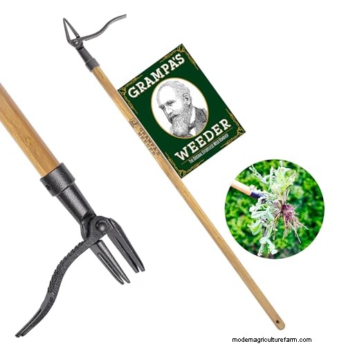 Prime Day Lawn Care Deals: Our Expert‑Recommended Products on Sale