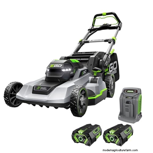 Prime Day Lawn Care Deals: Our Expert‑Recommended Products on Sale