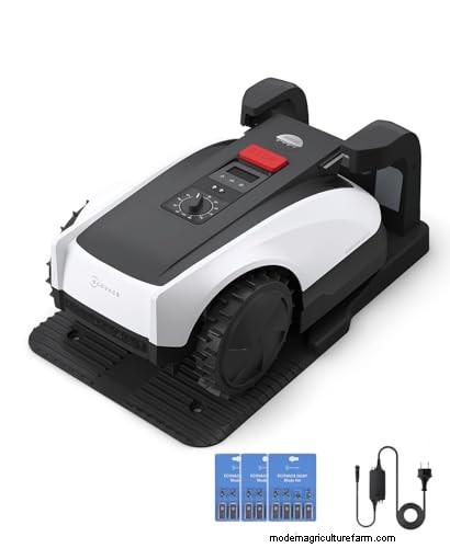 Prime Day Lawn Care Deals: Our Expert‑Recommended Products on Sale