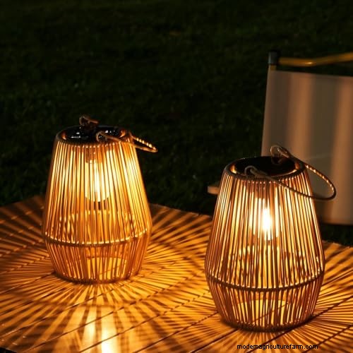 The Definitive Solar Garden Lighting Guide: Expert Tips & Buying Advice