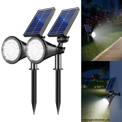 The Definitive Solar Garden Lighting Guide: Expert Tips & Buying Advice