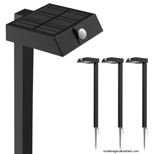 The Definitive Solar Garden Lighting Guide: Expert Tips & Buying Advice