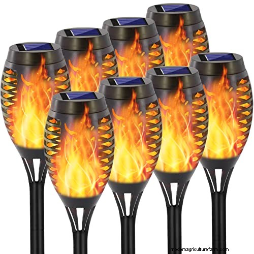 The Definitive Solar Garden Lighting Guide: Expert Tips & Buying Advice