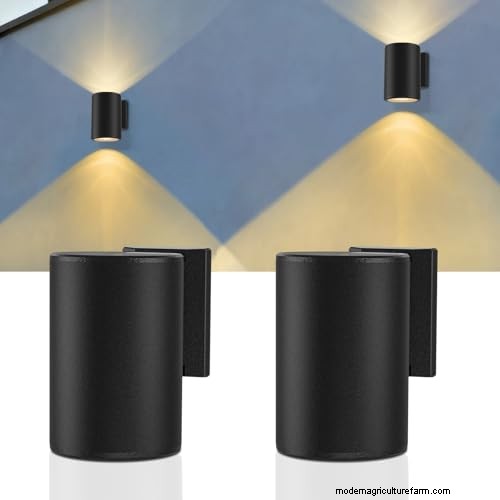 The Definitive Solar Garden Lighting Guide: Expert Tips & Buying Advice