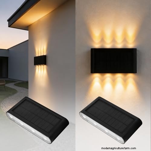 The Definitive Solar Garden Lighting Guide: Expert Tips & Buying Advice