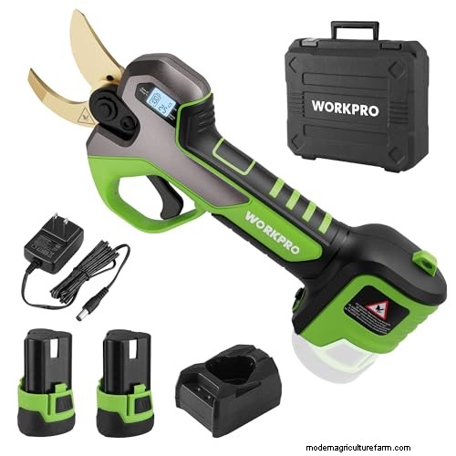 Amazon Prime Day: Gardening Know How Experts Reveal the Best Tool Deals