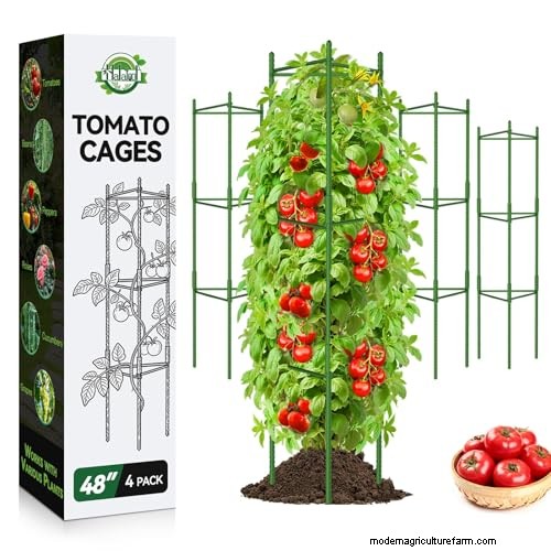 Amazon Prime Day: Gardening Know How Experts Reveal the Best Tool Deals