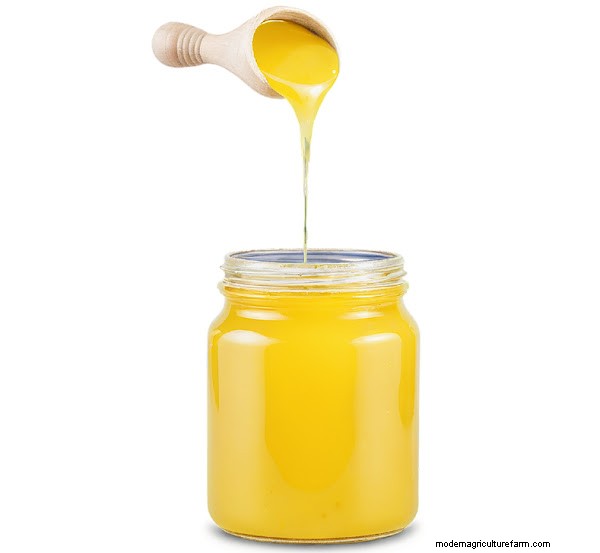 Gir Cow A2 Ghee: Premium Vedic Bilona Ghee for Health & Wellness