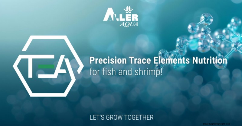 Aller Aqua Launches TEA: A Trace‑Element Optimized Feed for Fish and Shrimp