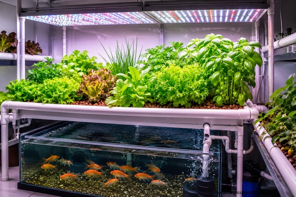 Aquaponics Plant Growth Troubleshooting: Identify & Fix Common Issues
