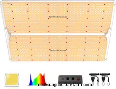 The Ultimate Guide to Choosing Grow Lights for Indoor Aquaponics Systems
