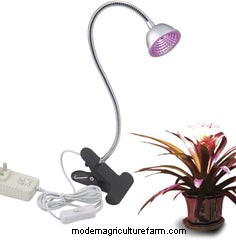 The Ultimate Guide to Choosing Grow Lights for Indoor Aquaponics Systems