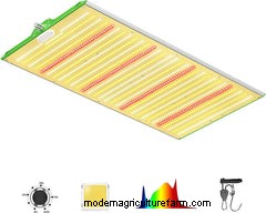 The Ultimate Guide to Choosing Grow Lights for Indoor Aquaponics Systems