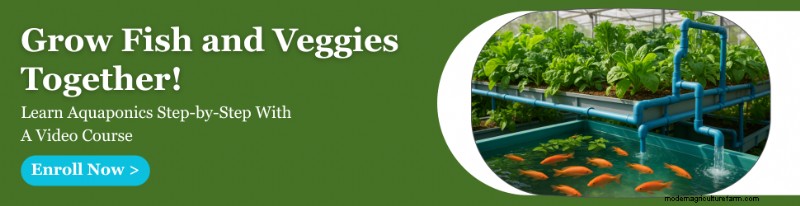 The Ultimate Guide to Choosing Grow Lights for Indoor Aquaponics Systems