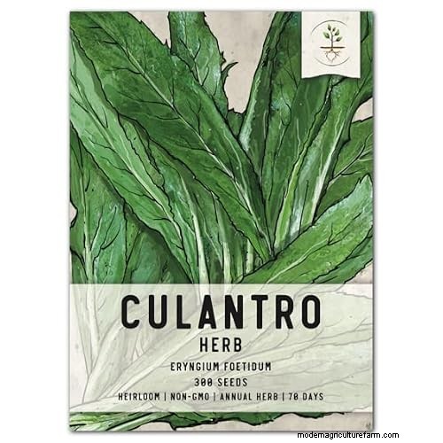 15 Tropical Herbs and Spices to Grow at Home
