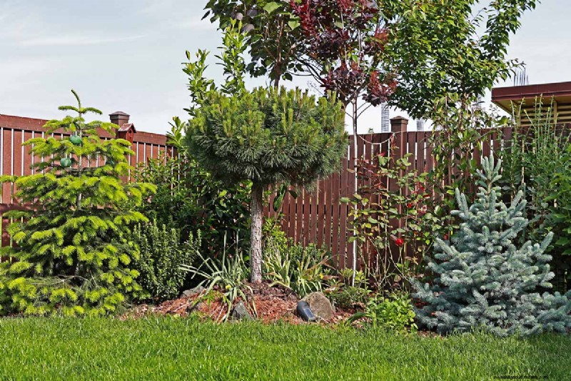 17 Small Trees That Thrive in Urban Gardens – Expert Picks for Compact, Pollinator‑Friendly Spaces