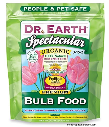Top 11 Fertilizers for a Thriving Vegetable Garden