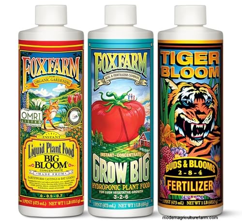 Top 11 Fertilizers for a Thriving Vegetable Garden