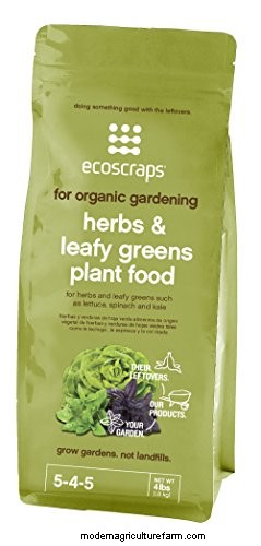 Top 11 Fertilizers for a Thriving Vegetable Garden