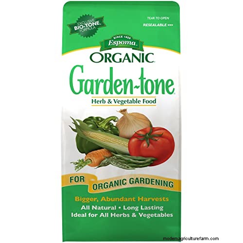 Top 11 Fertilizers for a Thriving Vegetable Garden