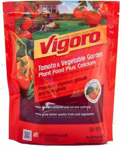Top 11 Fertilizers for a Thriving Vegetable Garden
