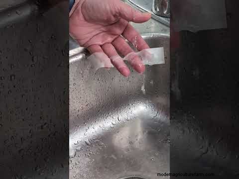 Why Seed Tape Falls Short – Meet the Water‑Soluble Solution That Fixes It