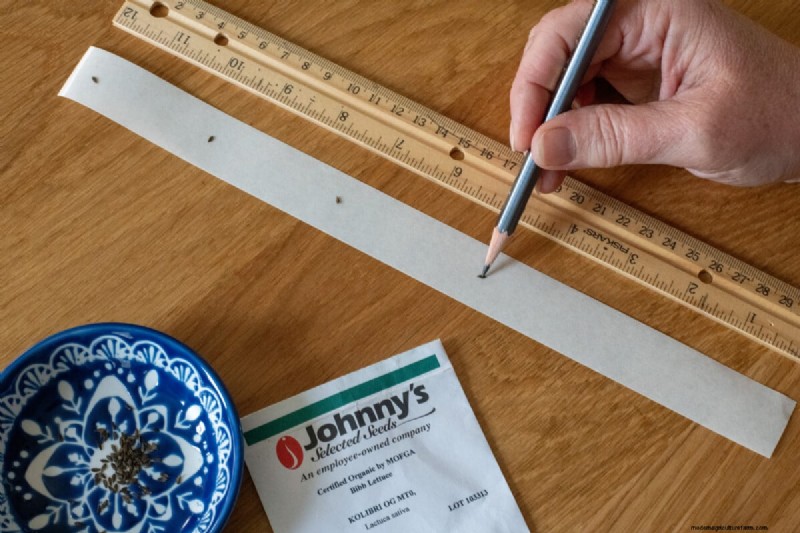 Why Seed Tape Falls Short – Meet the Water‑Soluble Solution That Fixes It