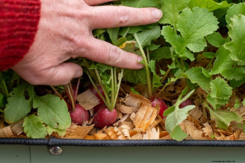 7 Late‑Spring Tasks to Simplify Your Summer Garden