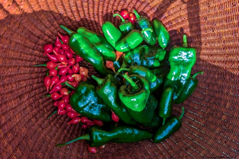 Master Three Proven Rules to Grow Flawless, Flavorful Peppers Every Time