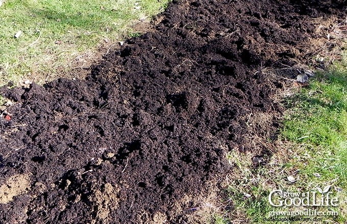 How Garden Weeds Reveal Your Soil’s Health