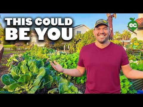 How to Start a Summer Food Garden: From Planning to Harvest