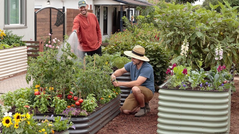 How to Start a Summer Food Garden: From Planning to Harvest