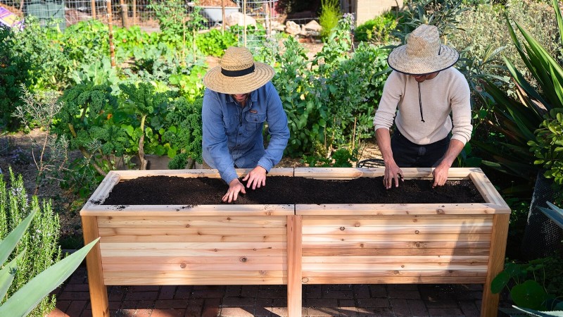 How to Start a Summer Food Garden: From Planning to Harvest