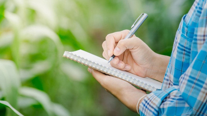 How to Keep Your Flower Beds Blooming All Season with Succession Sowing