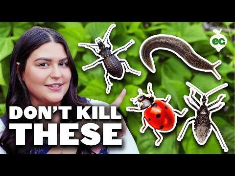 Top 7 Slug‑Resistant Hosta Varieties to Protect Your Spring Garden