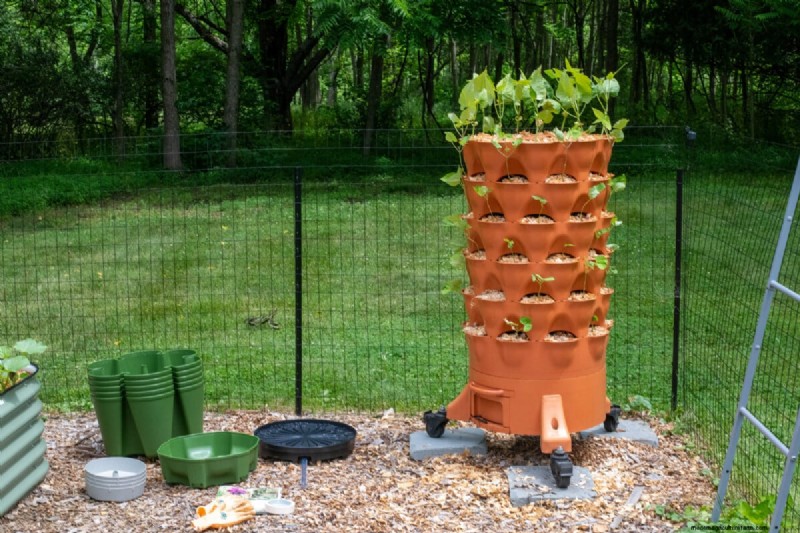 My First GreenStalk Vertical Planter: Setup Guide & Early Impressions