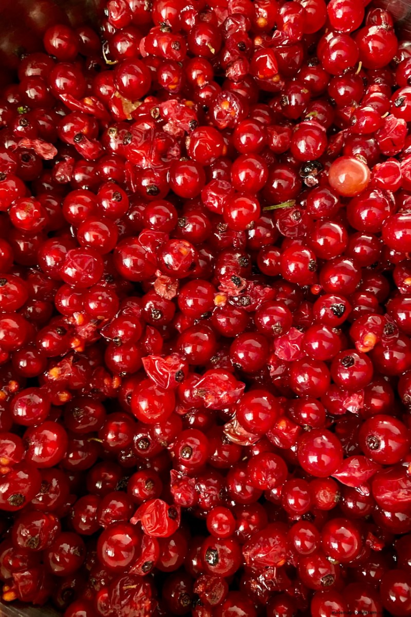 8 Edible Shrubs for a Fruit‑Bearing Privacy Hedge