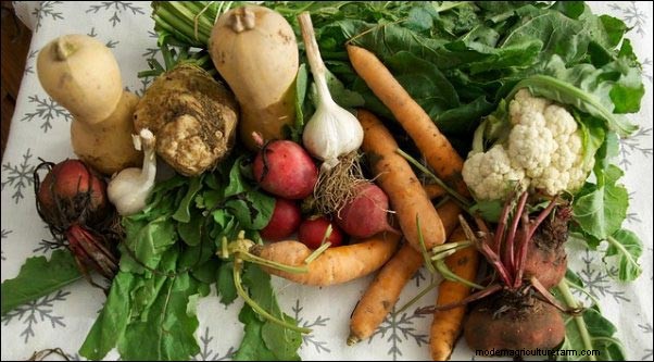 Extending Your Garden Season: Winter Gardening & Cold‑Weather Animal Care