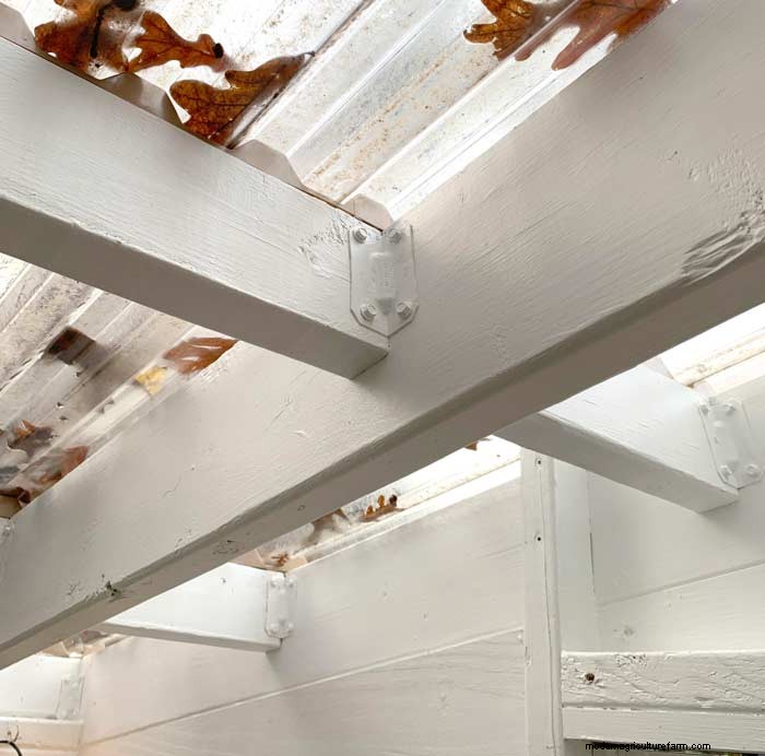 DIY Guide: Build an Affordable Hobby Greenhouse from Recycled Windows