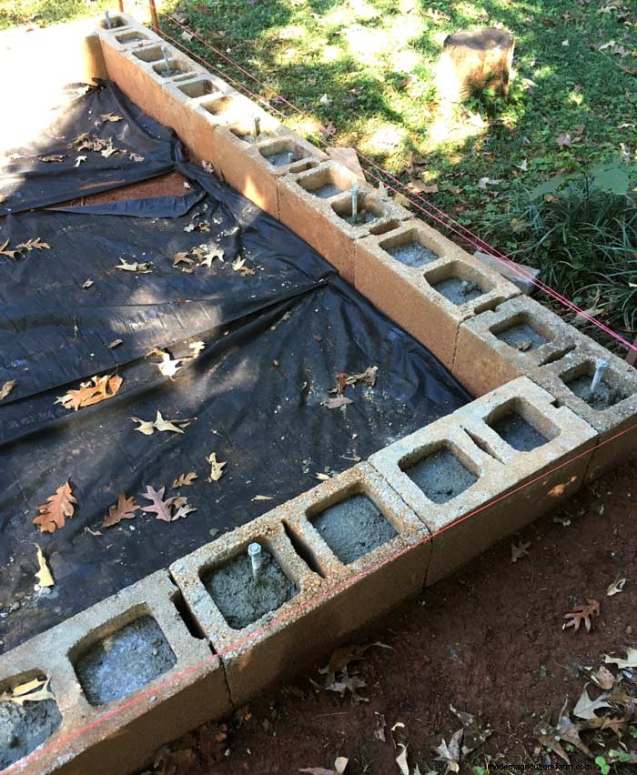 DIY Guide: Build an Affordable Hobby Greenhouse from Recycled Windows